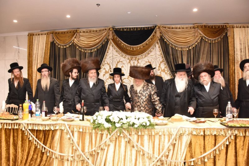 יהודה פרקוביץ