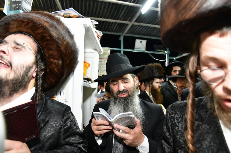 יוסי לוי