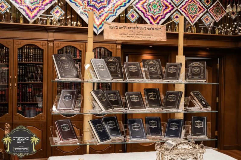 באדיבות המצלם