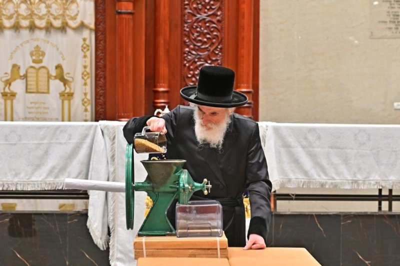 יהושע פרוכטר