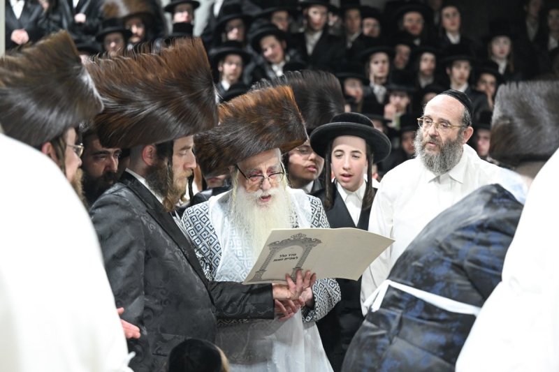 משה גולדשטיין