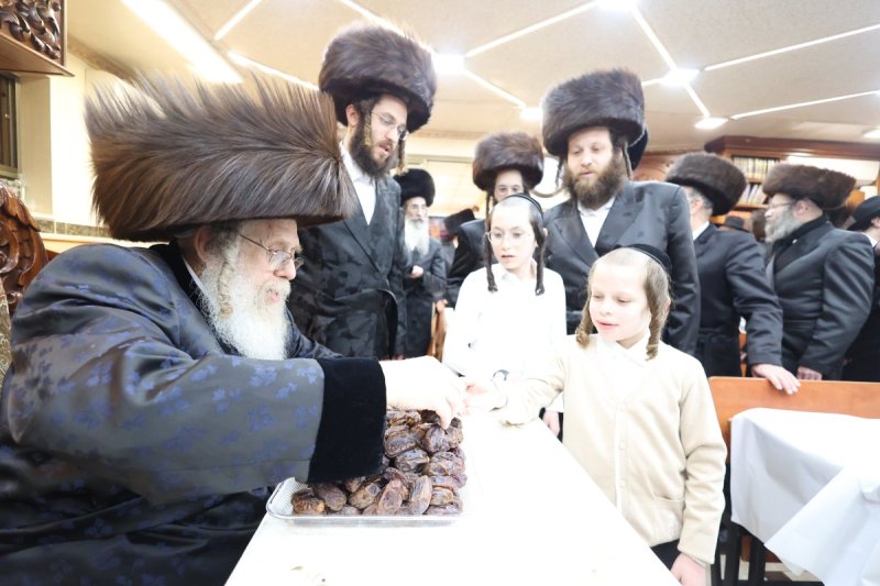 שלומי טריכטר