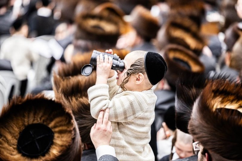 אלי וואהל, איצי מ.