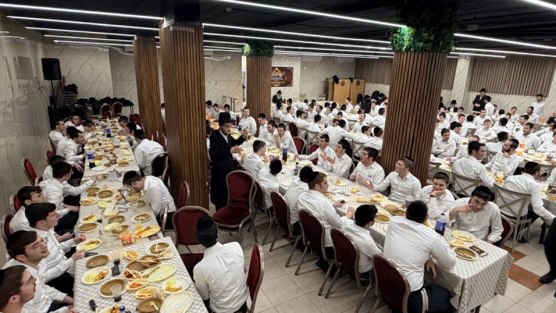 אלעזר פיינשטיין