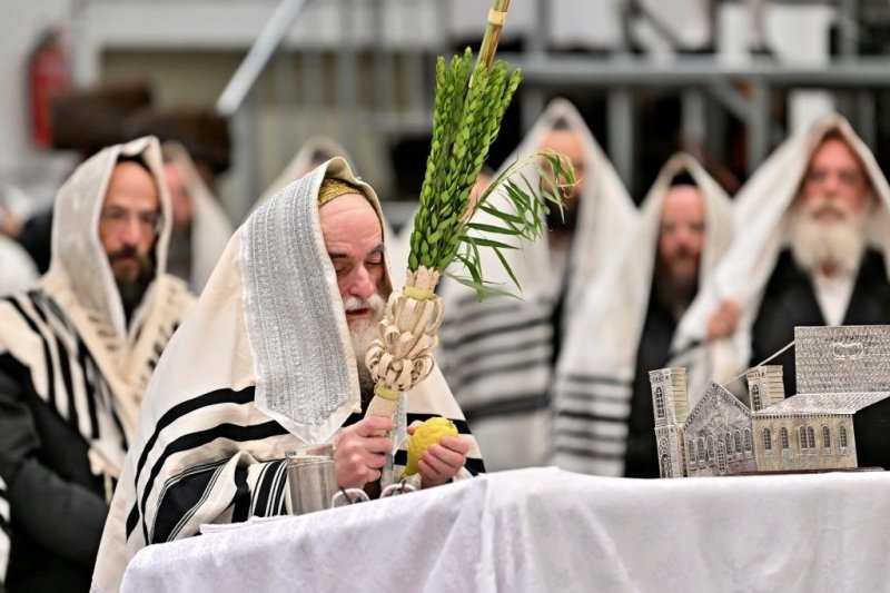 יהושע פרוכטר