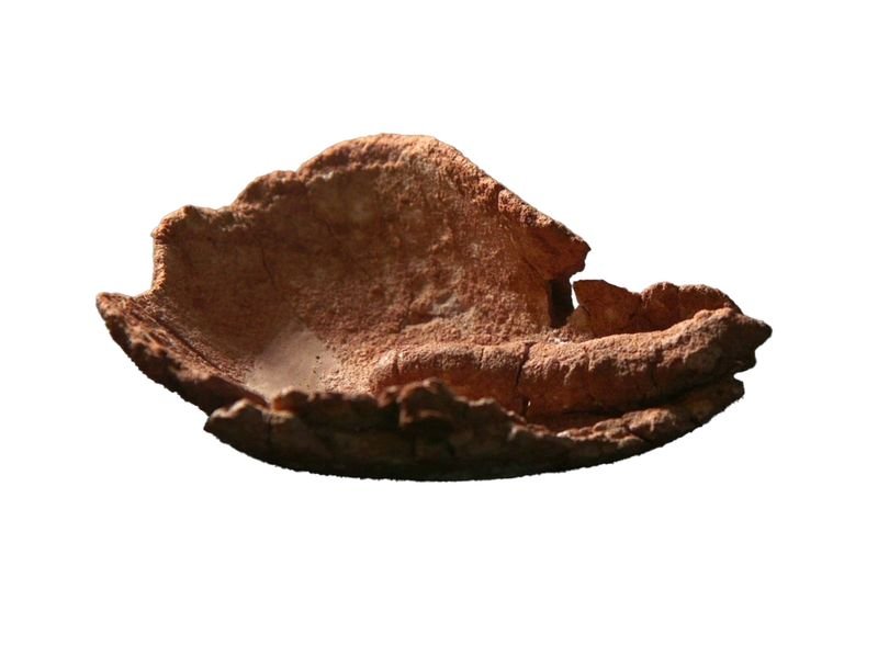 אמיל אלג'ם, רשות העתיקות