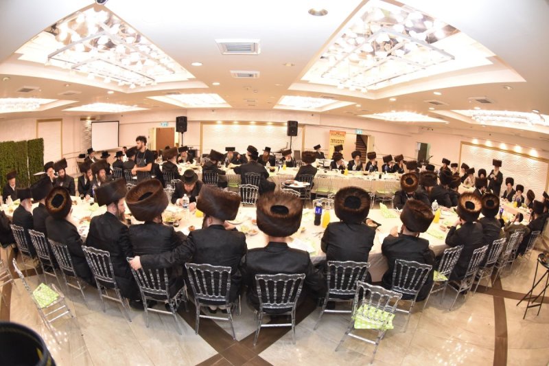 יהודה פרקוביץ