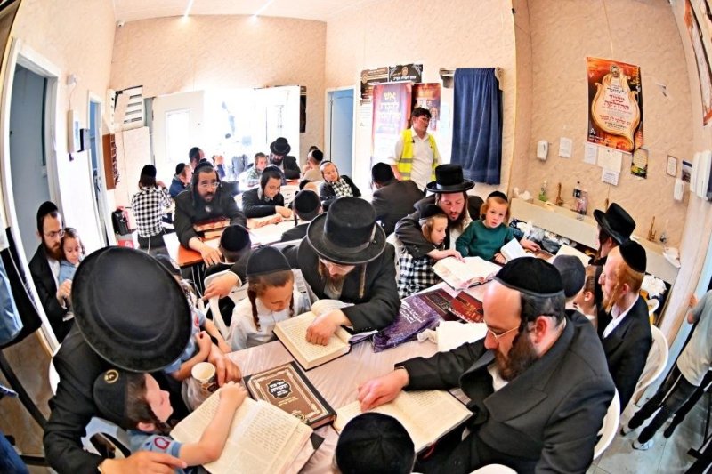 יהושע פרוכטר