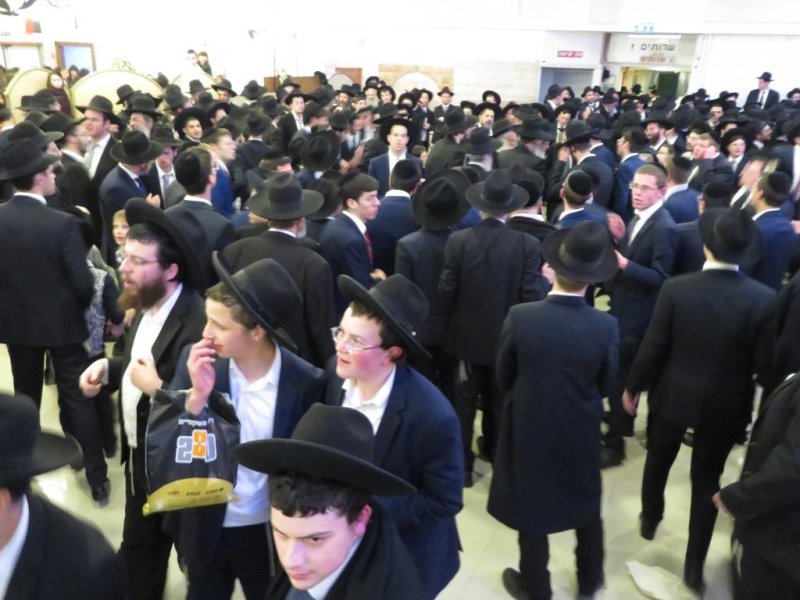 שלומי טריכטר