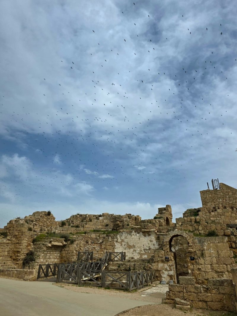 איליה בסקין ועידן יצחקיאן, רשות הטבע והגנים