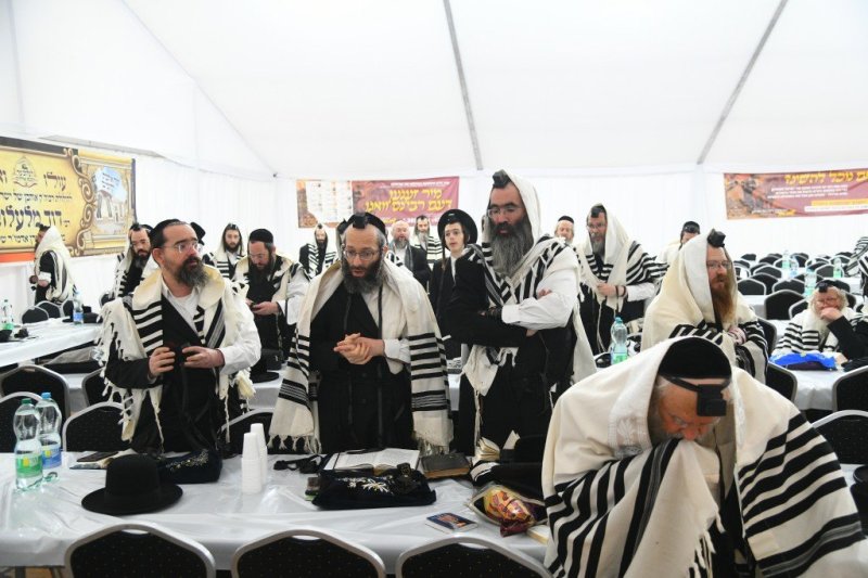 ארי קופרשטוק - פולין