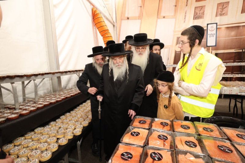 שלומי כהן