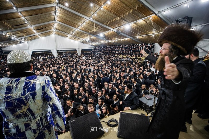 מענדי קוטלר