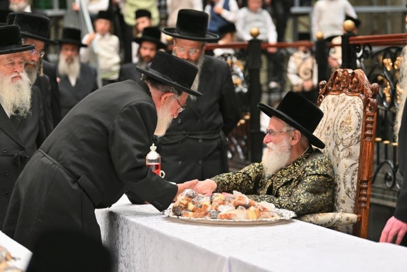 יהושע פרוכטר