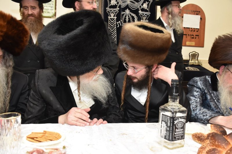 יהודה פרקוביץ