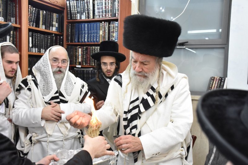 יהודה פרקוביץ