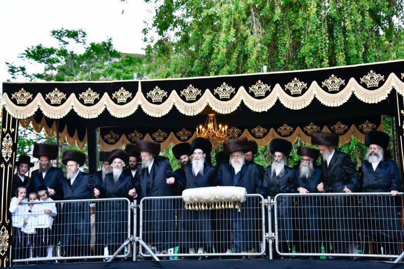 שוקי לרר
