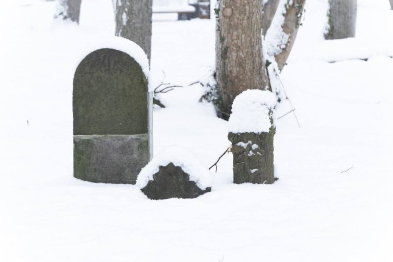 מבשר טוב מוסקבה