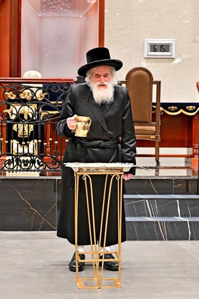 יהושע פרוכטר