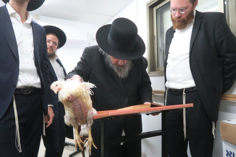 מ. אדלר
