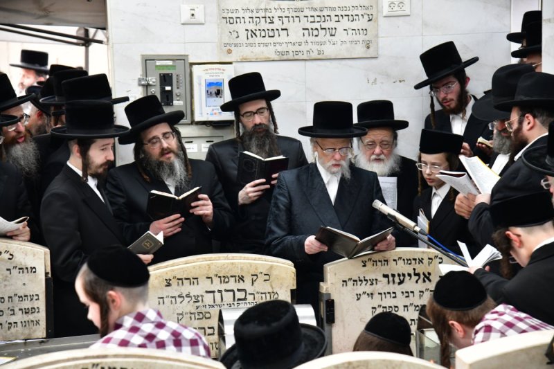 יוסי לוי