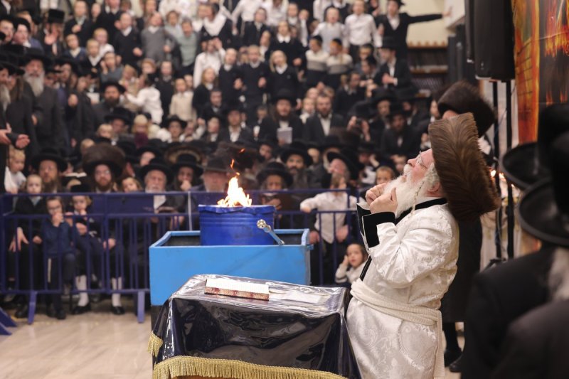 שימי פ.