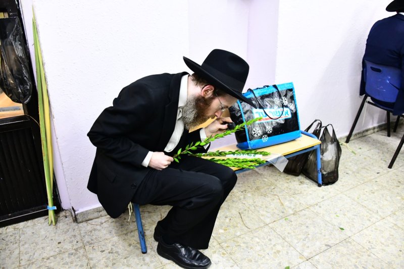 שוקי לרר