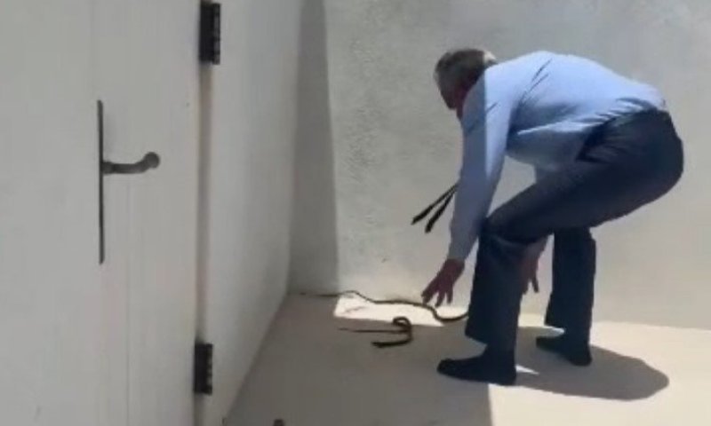 "אלה מסוכנים!": שר הבריאות לכד שני נחשים בידיים חשופות