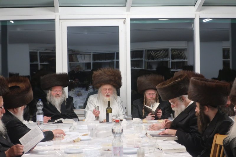 שימי פ.