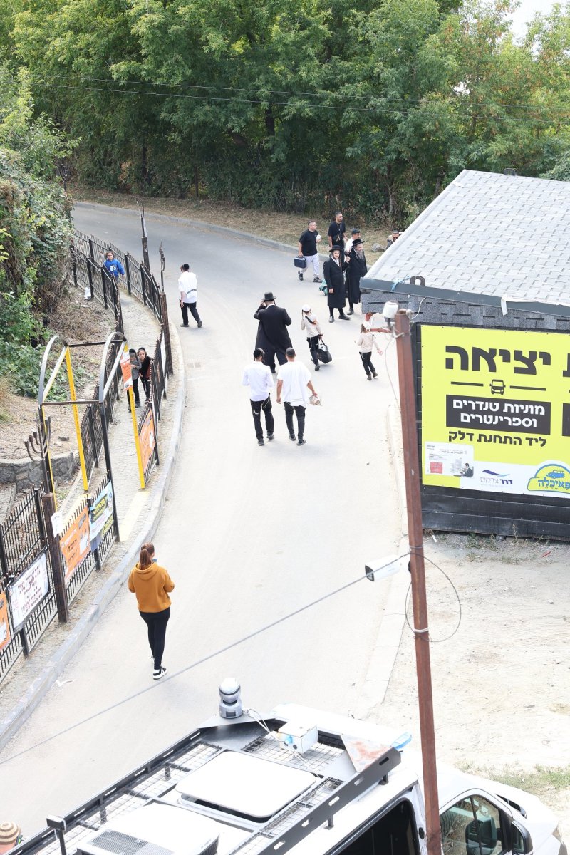 יהודה וויס