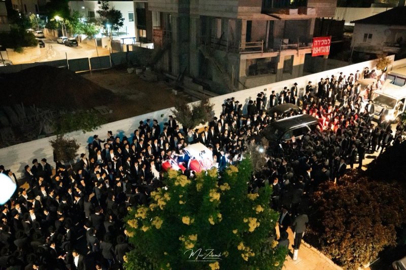 מאיר זלזניק