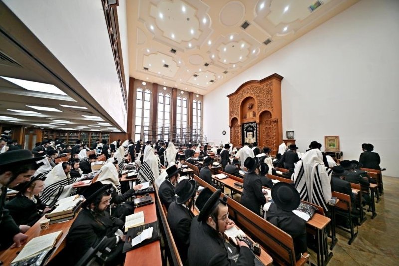 יהושע פרוכטר