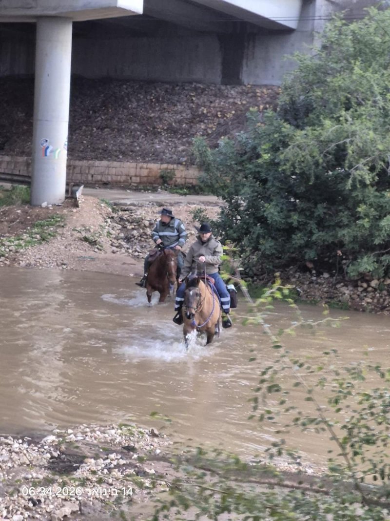 דוברות המשטרה