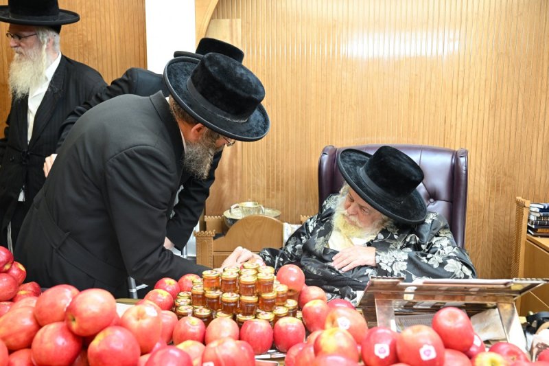 משה גולדשטיין