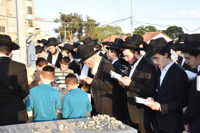 יהודה פרקוביץ