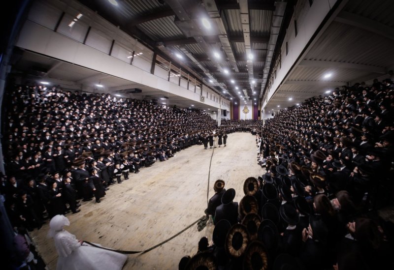 יוסי גולדברגר