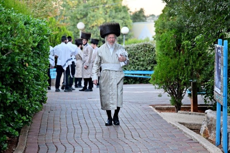 יהושע פרוכטר