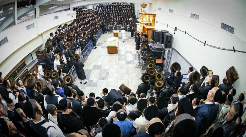 דוד ארזני וארי קופרשטוק