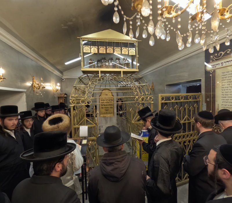 באדיבות המצלם
