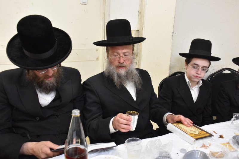 יהודה פרקוביץ