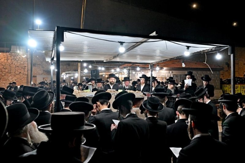 יהושע פרוכטר