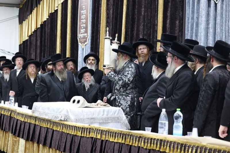 א. אייזנבאך ודוד ארזני