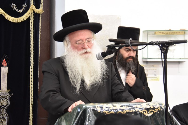 יהודה פרקוביץ