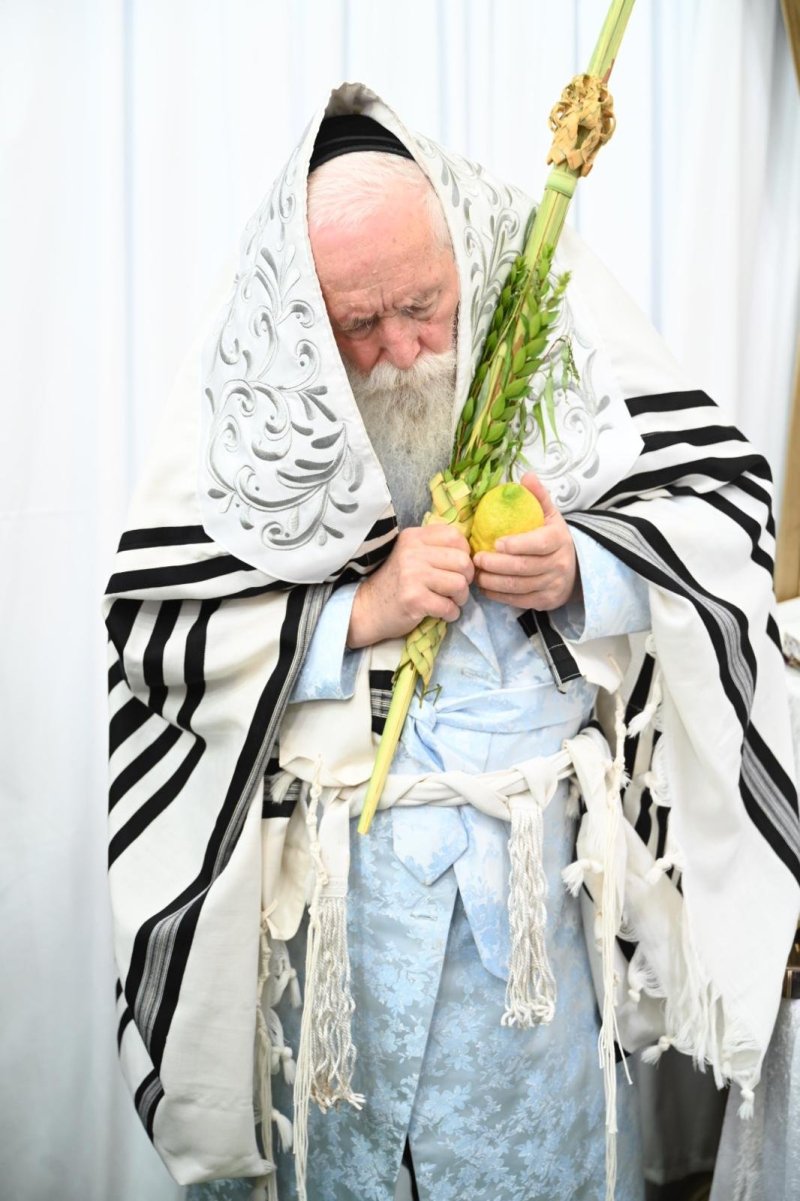 י.ש.חיימסון
