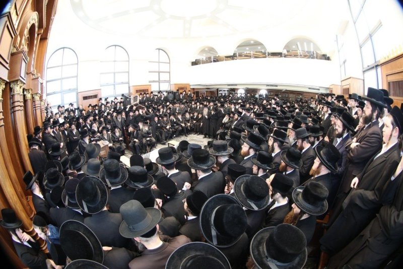 שלומי טריכטר