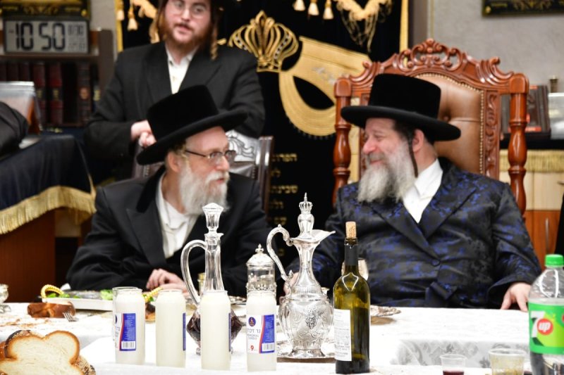 יוסי לוי