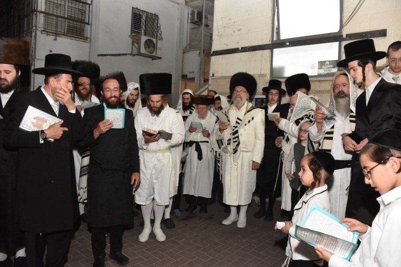 יהודה פרקוביץ