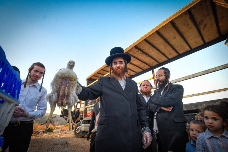 ארי קופרשטוק