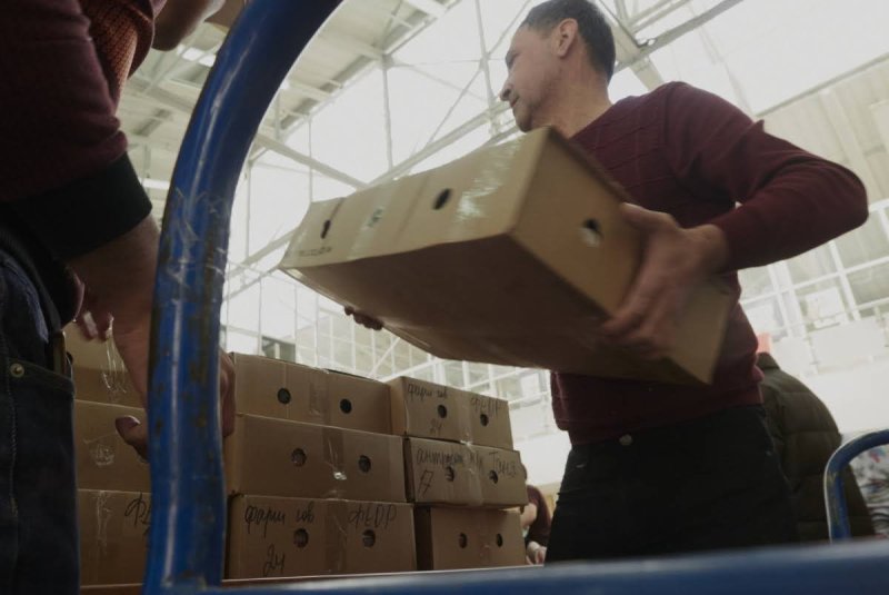 וויטאלי רוצינצוב