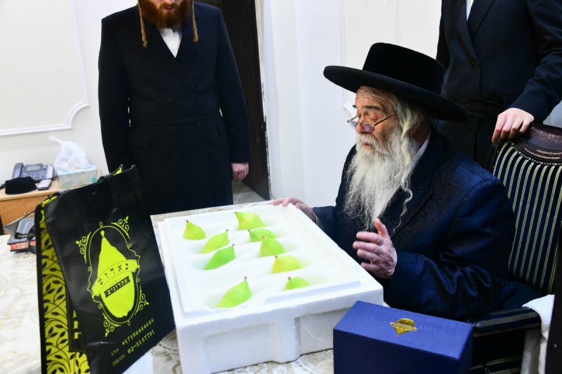 שוקי לרר